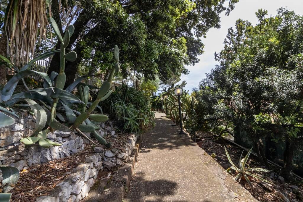 Il Giardino Tra Cielo E Mare Apartman Porto Venere Kültér fotó