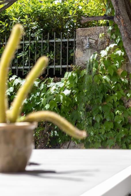 Il Giardino Tra Cielo E Mare Apartman Porto Venere Kültér fotó